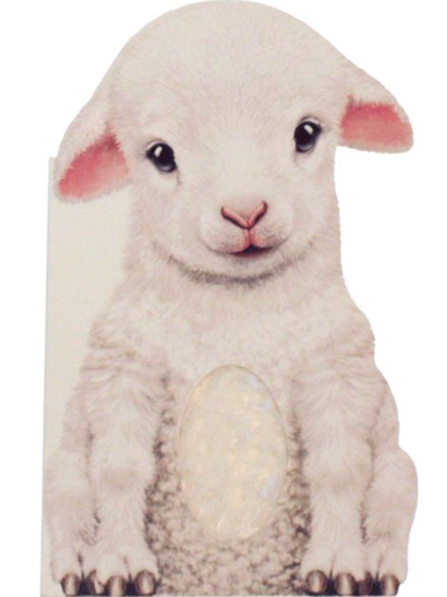 Furry Lamb