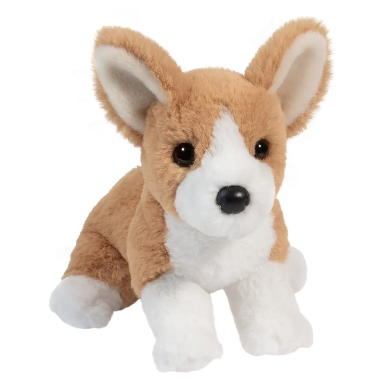 Cheekie Corgi