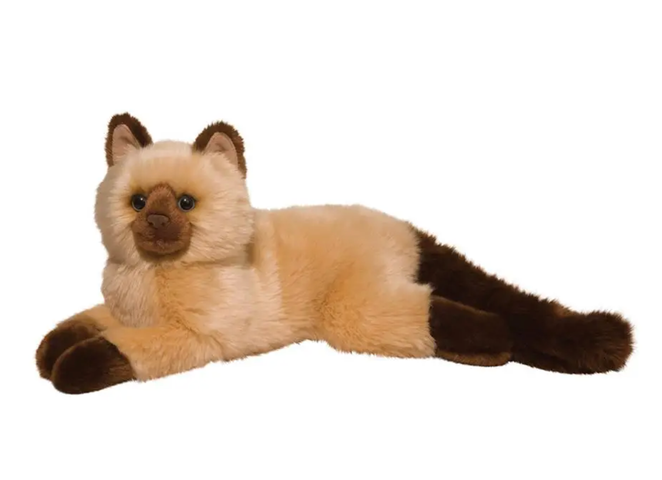 Sebastian Himalayan Cat