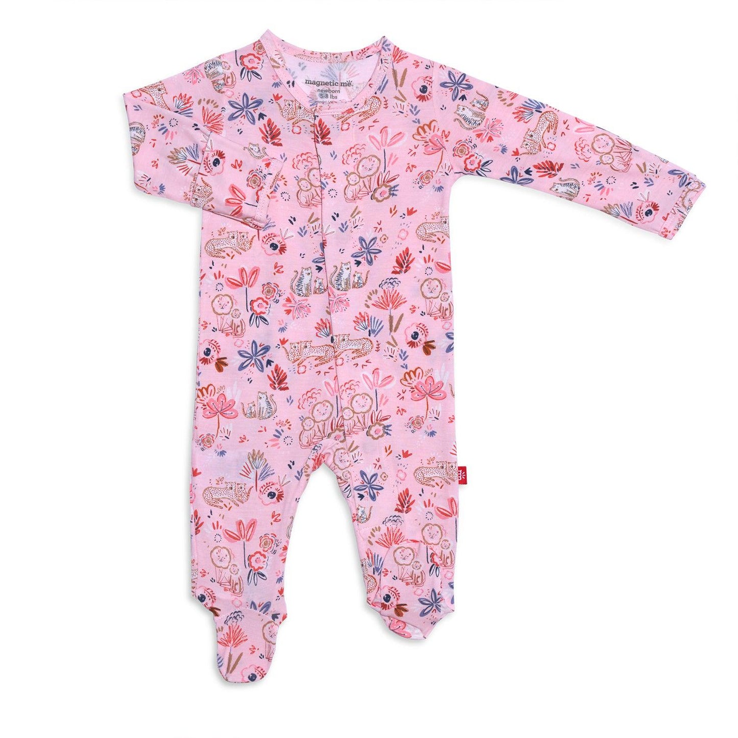 Dandy Lions Magnetic Footie