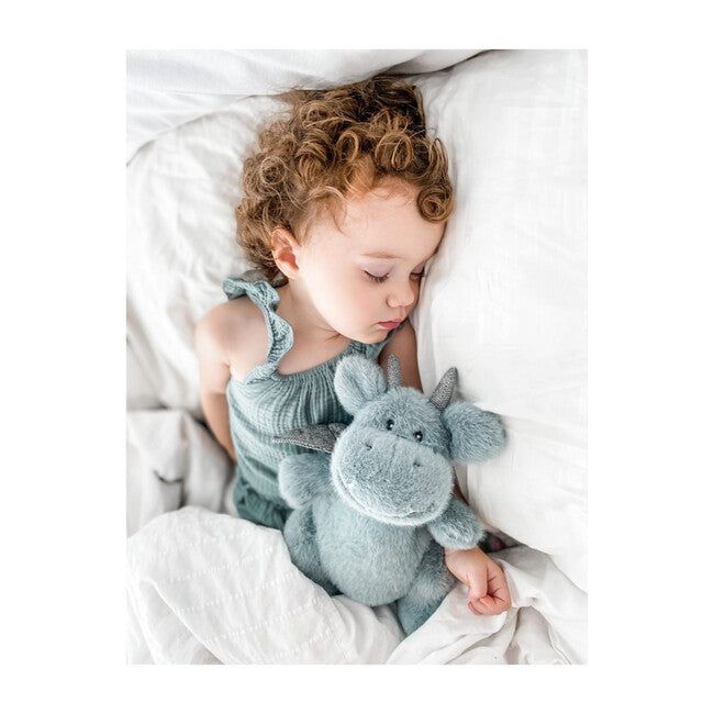 Sage Dragon Dax Plush Toy