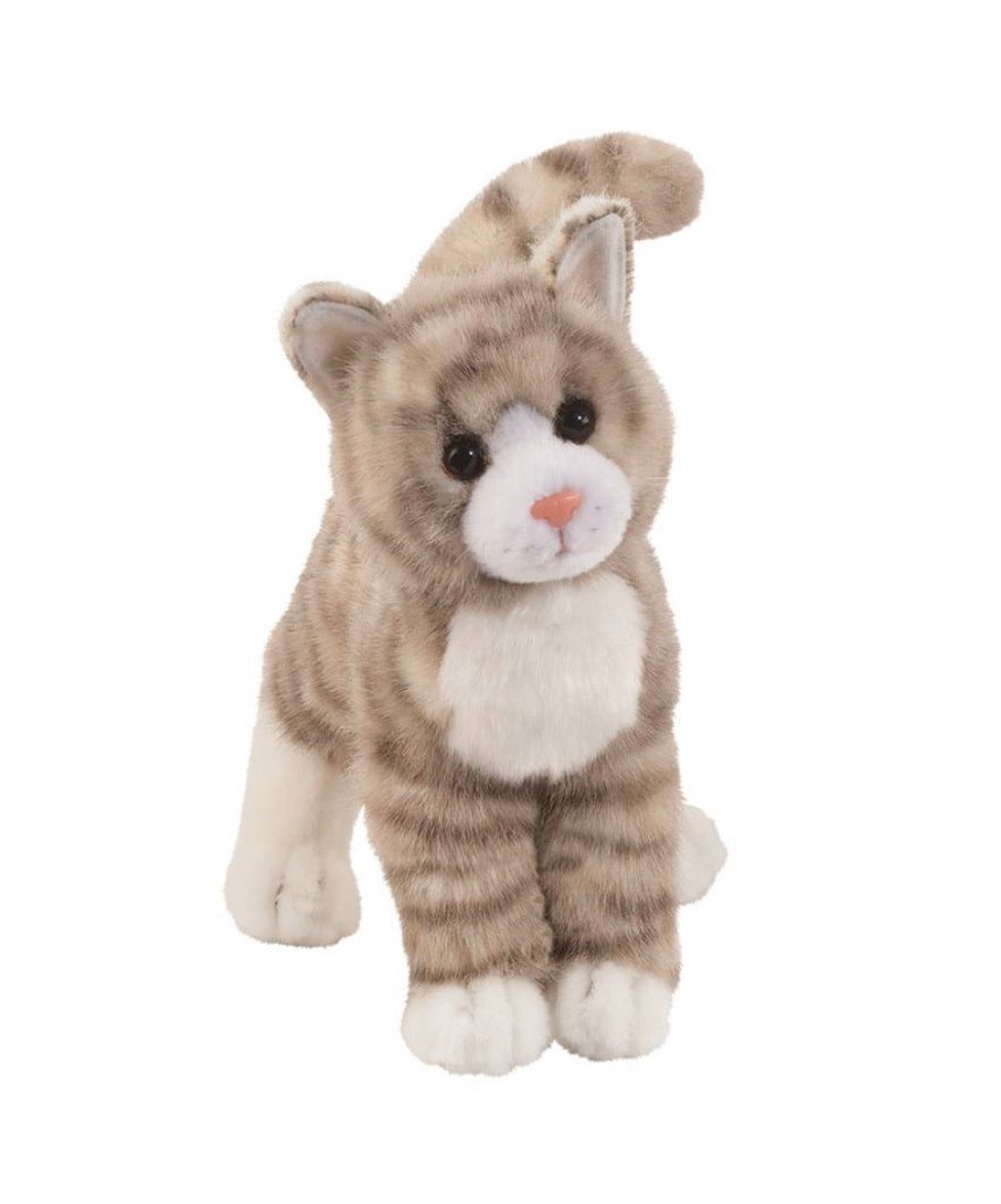 Zipper Grey Tabby Cat