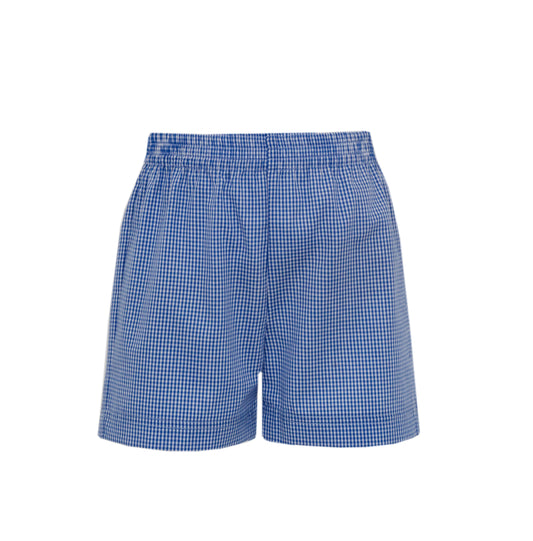 Royal Blue Mini Gingham Shorts