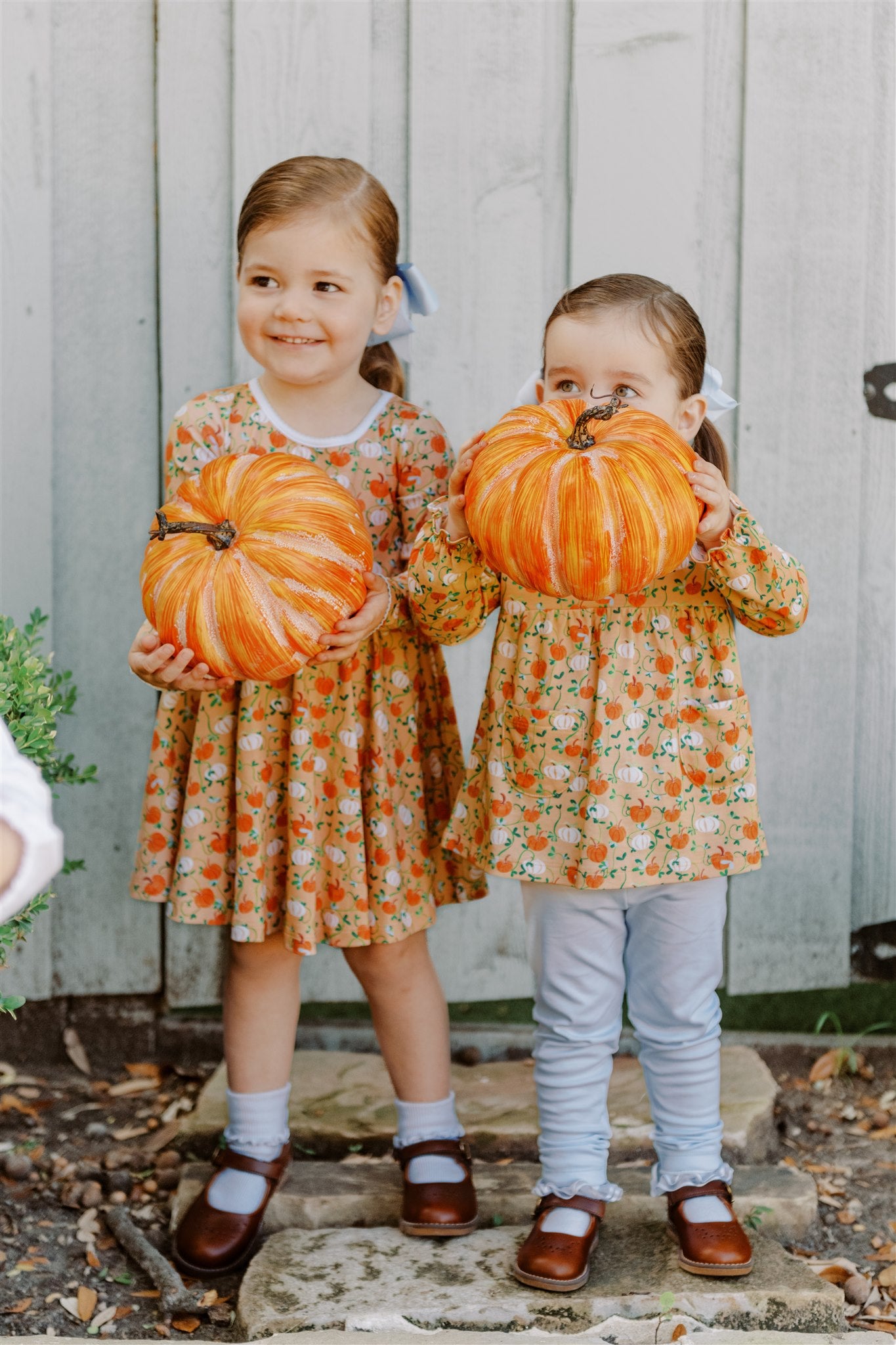 Autumn Vine L/S Twirl Dress