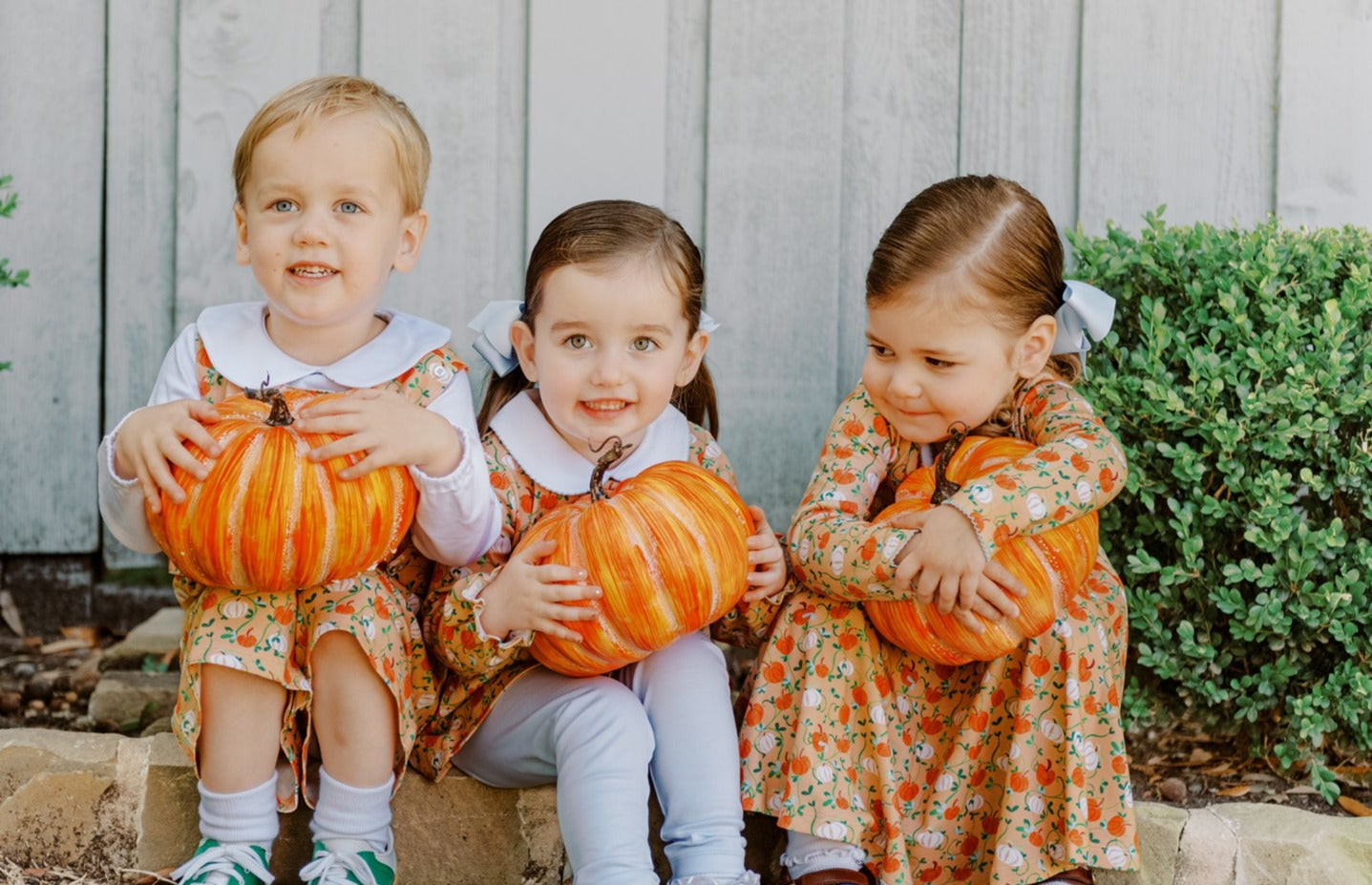 Autumn Vine L/S Twirl Dress