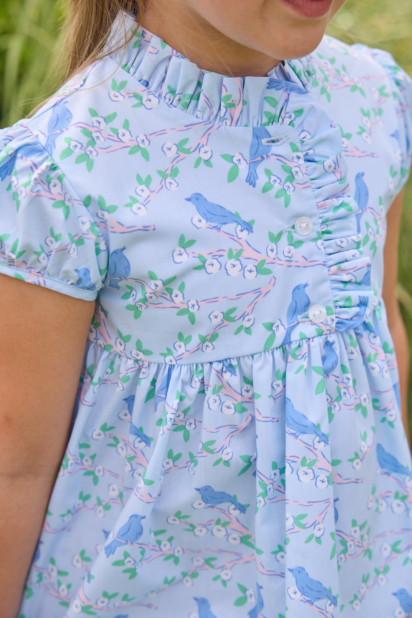 Cherry Blossoms Birdie Dress