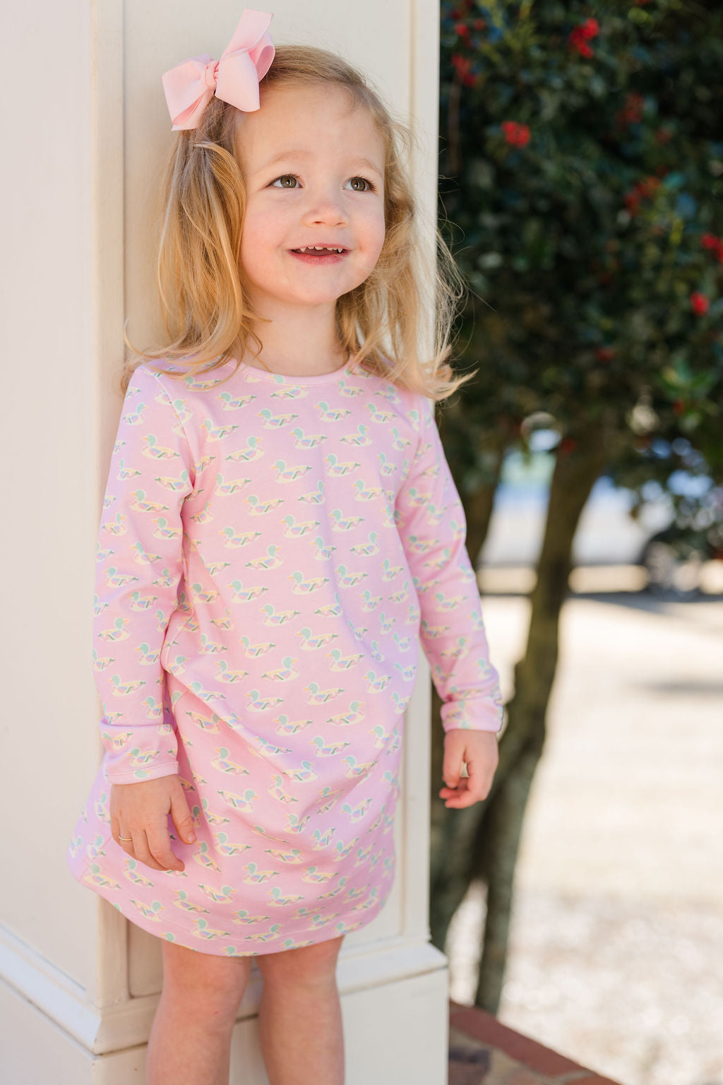 Mallard Long Sleeve Play Dress