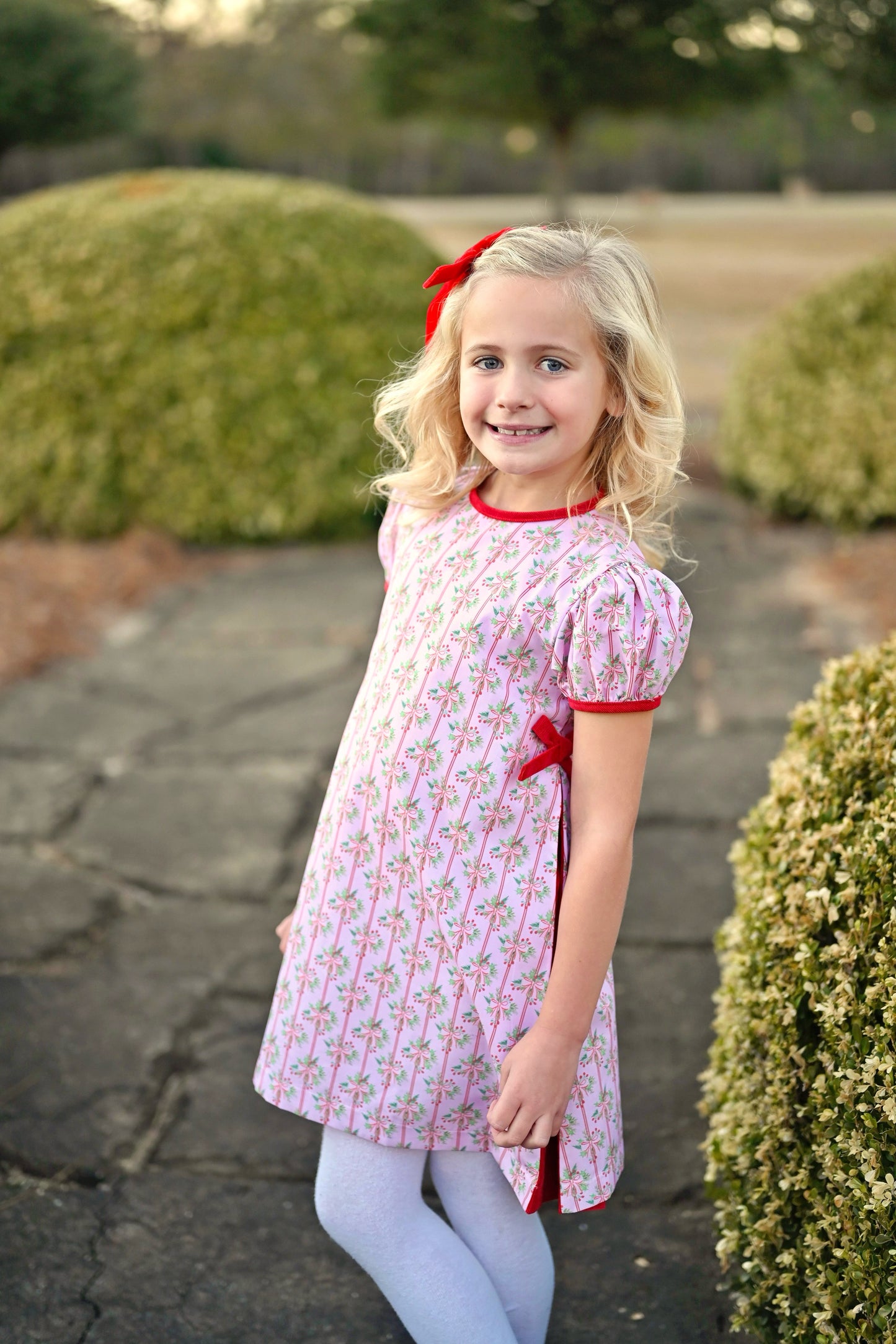 Cece Dress- Holiday Floral