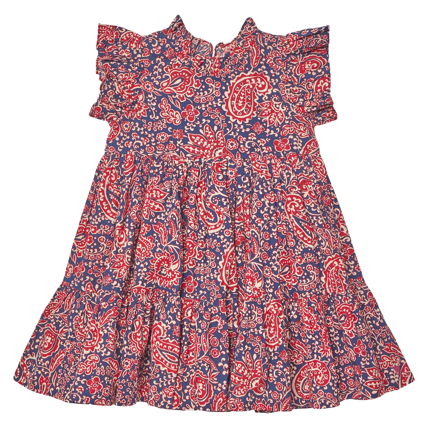Paisley Vines Jennifer Dress
