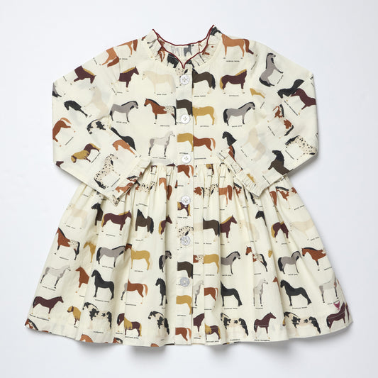 Autumn Dress Horse Breeds