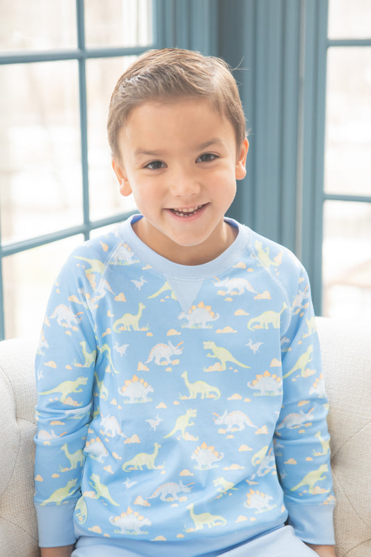 Sam Sweatshirt Dinosaur Knit