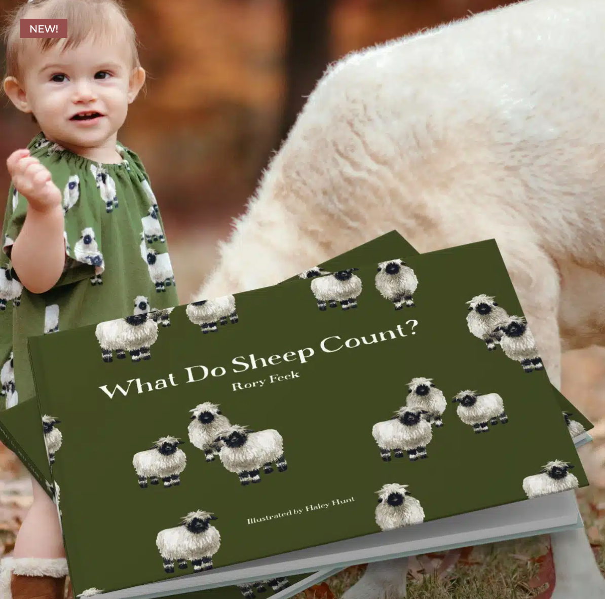 What Do Sheep Count? Book