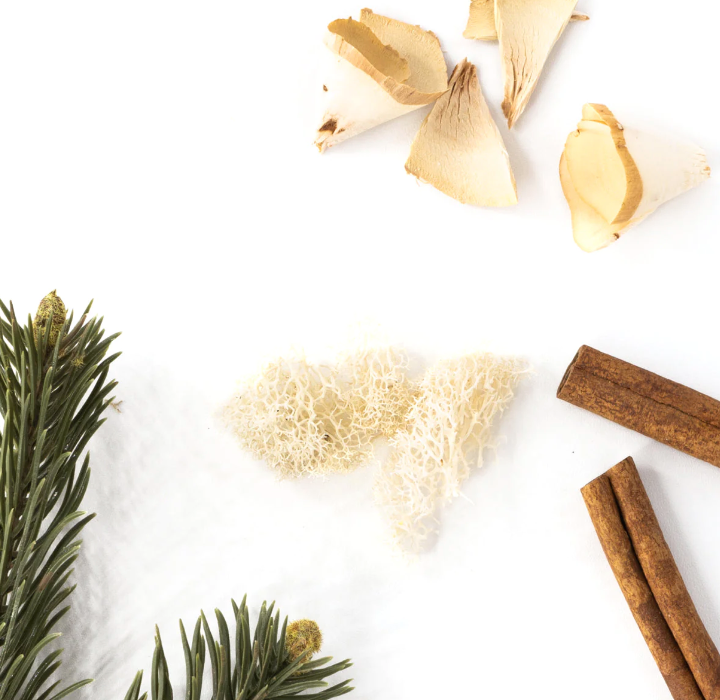 Pura Fragrance Refill- Balsam & Cedar (Illume)