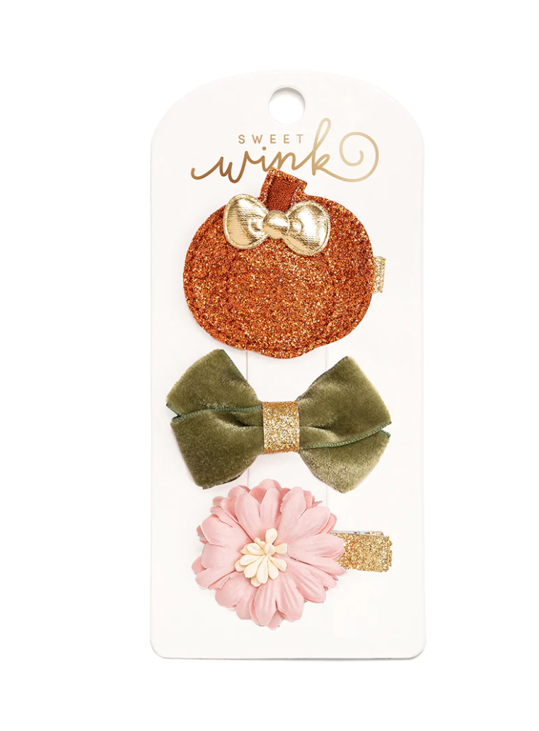 Pumpkin Clip Set
