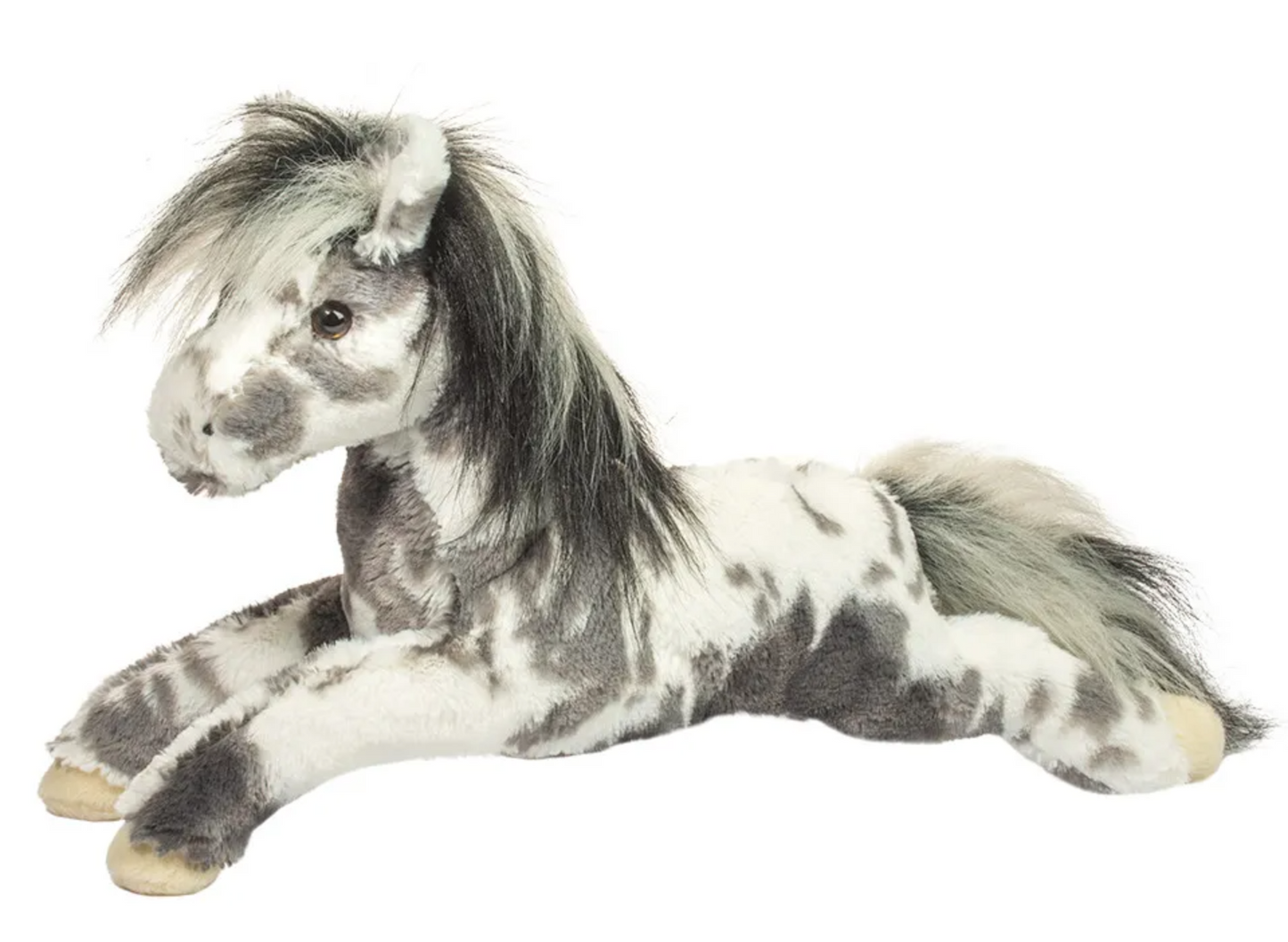 Starsky Appaloosa Horse