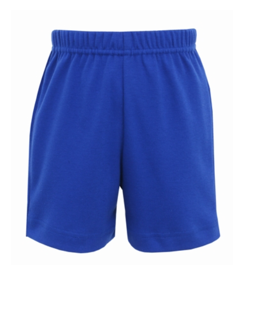 Royal Blue Knit Short