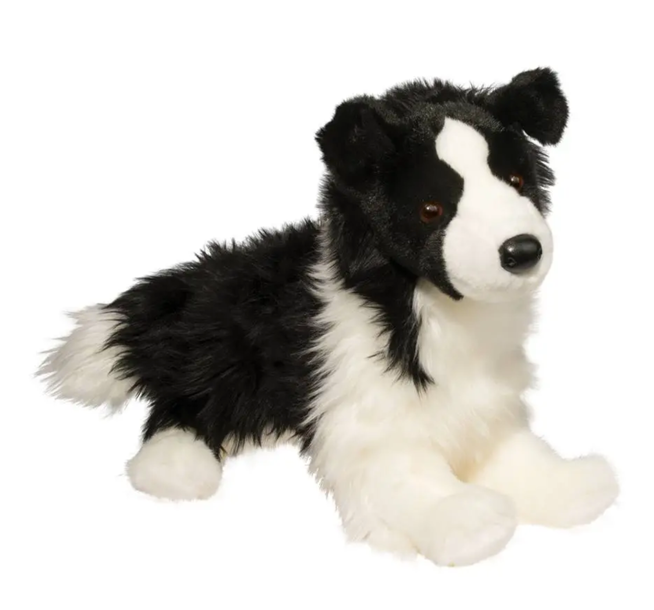 Chase Border Collie