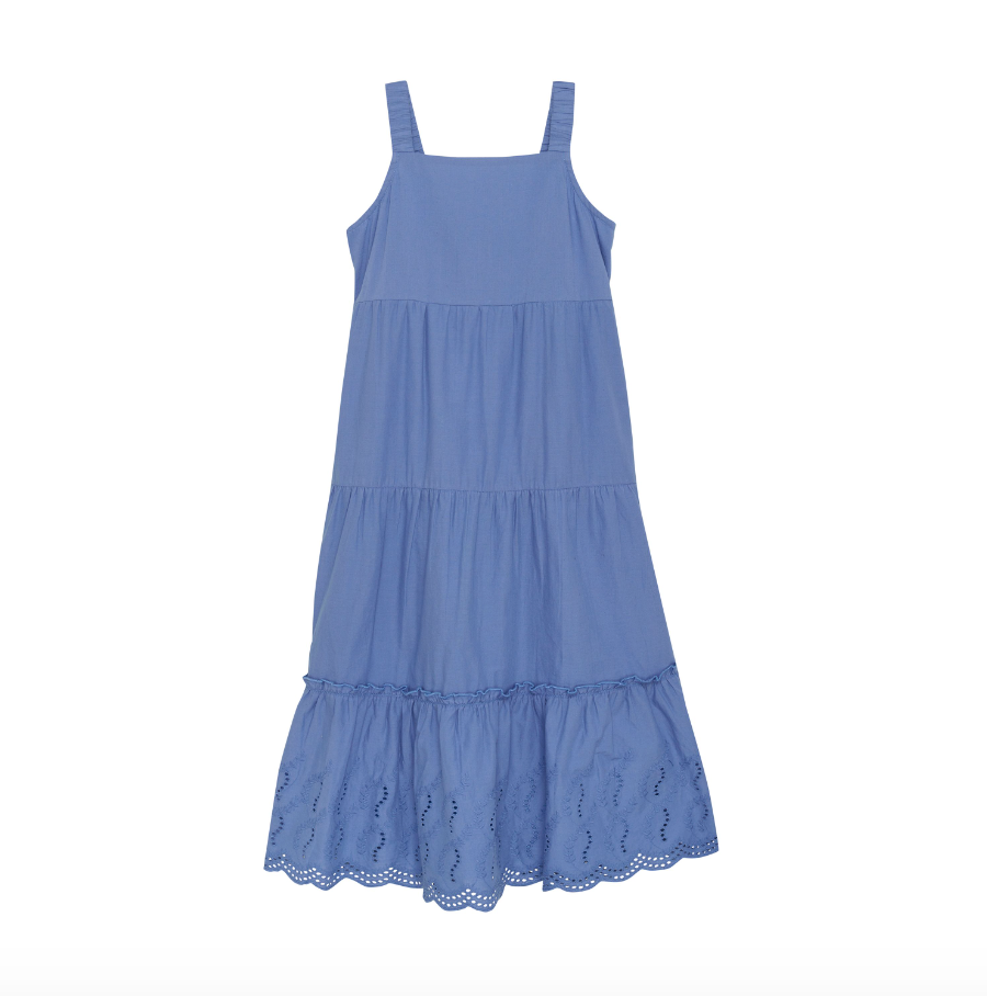 Colony Blue Dress Embroidery
