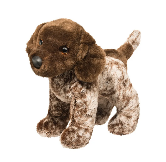 Ivan German Pointer