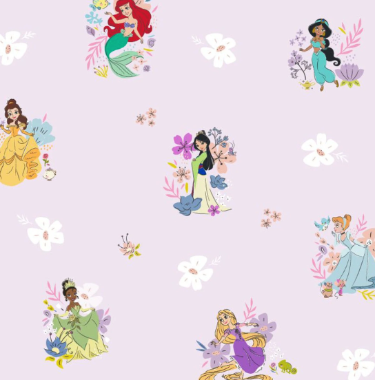 Disney Princess Magnetic Coverall