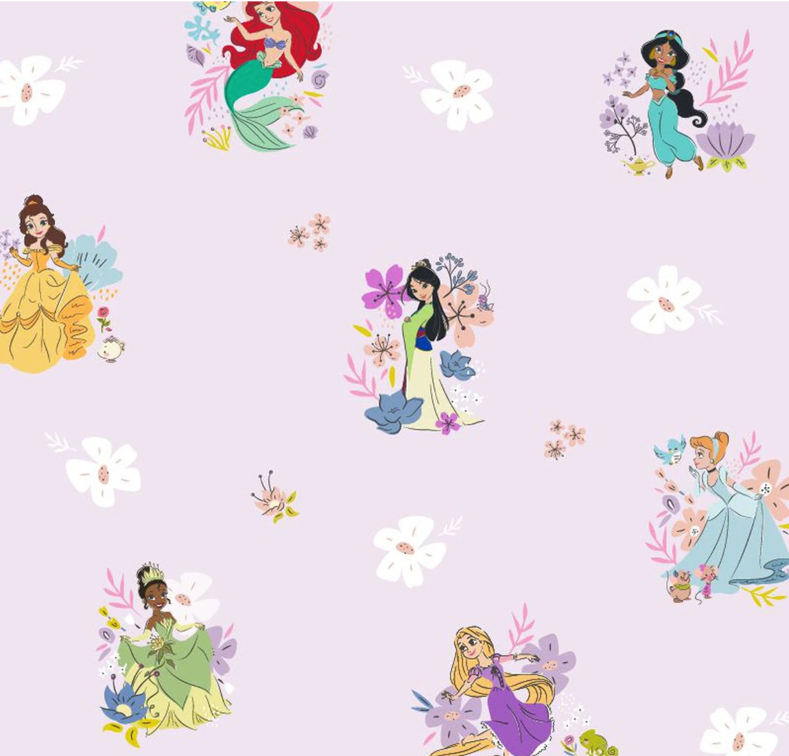 Disney Princess Magnetic Footie