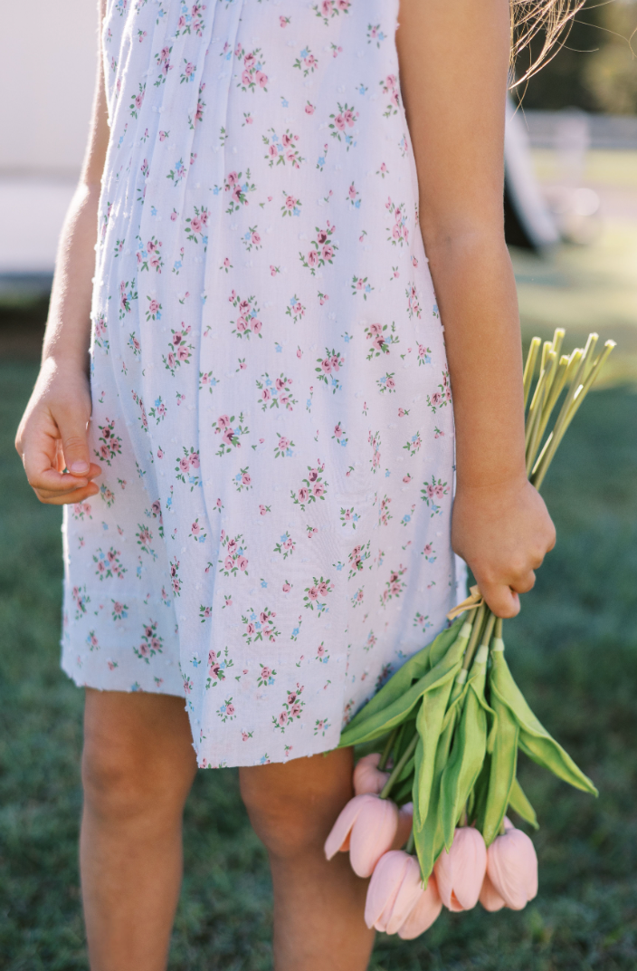 Bea Blue Dotted Swiss Dress