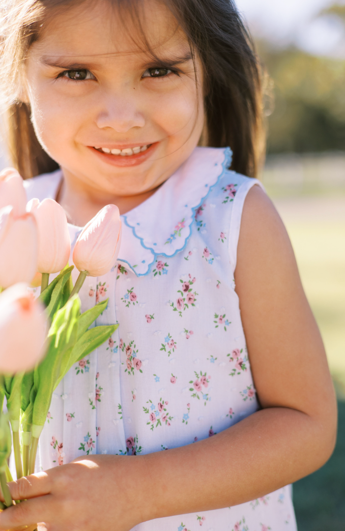 Bea Blue Dotted Swiss Dress