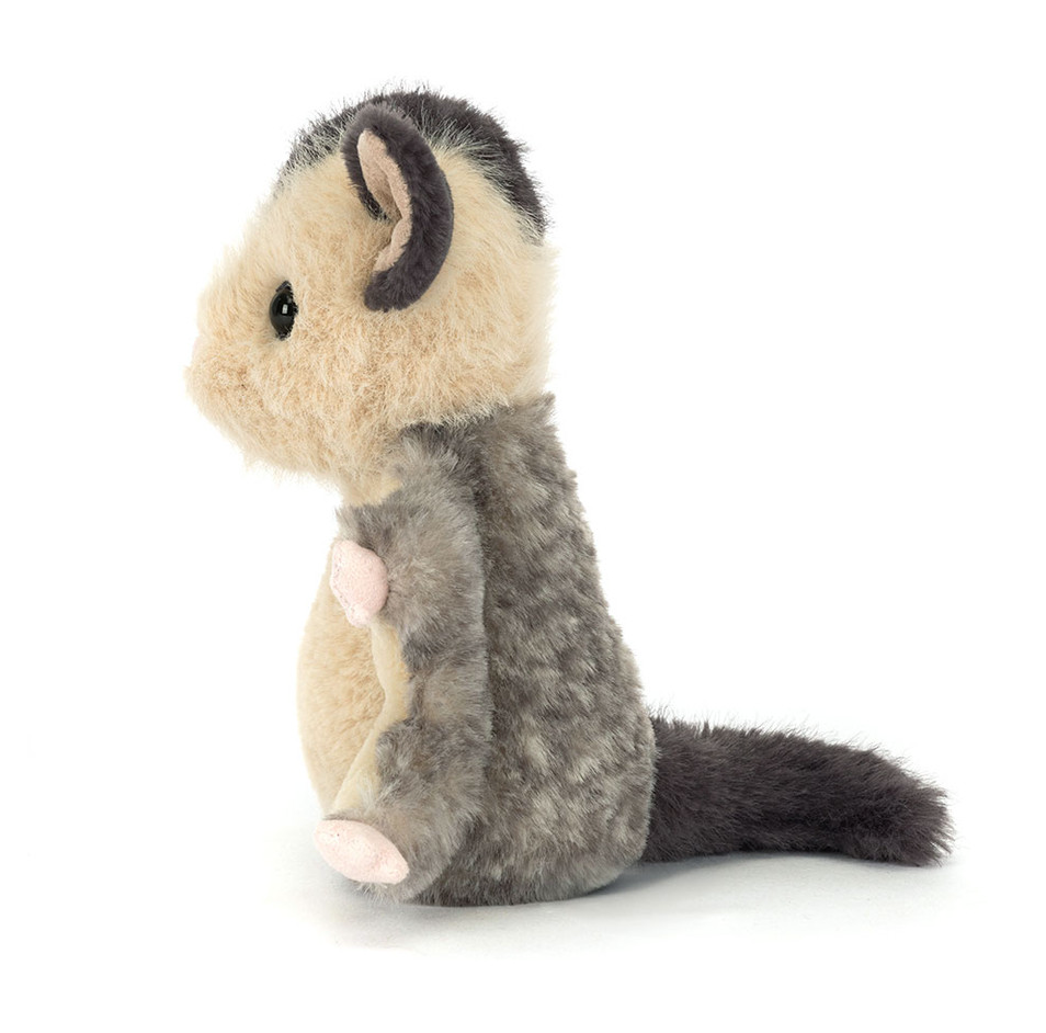 Lolly Sugar Glider