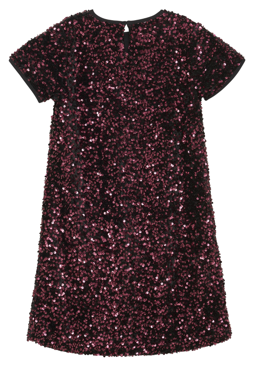 Vineyard Wine Sequin Velour Dress
