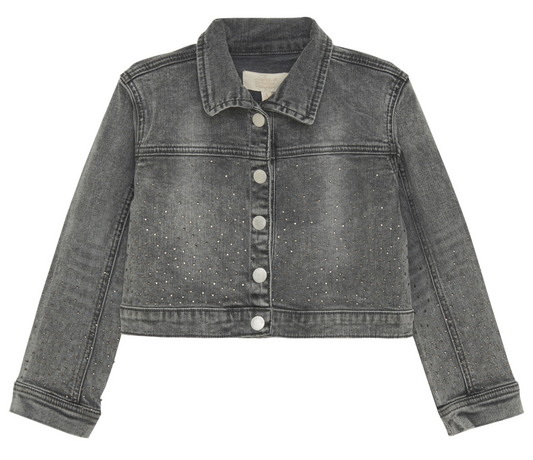 Light Grey Denim Jacket