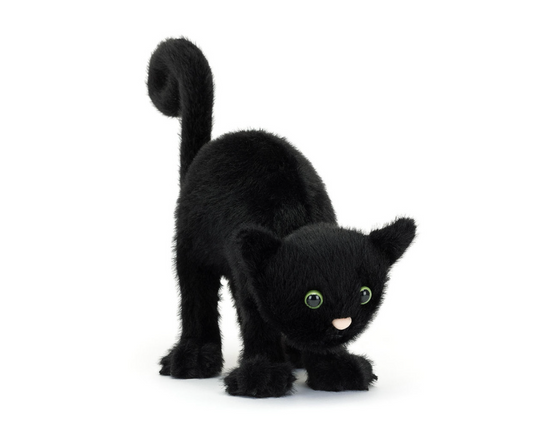 Spookipaws Cat