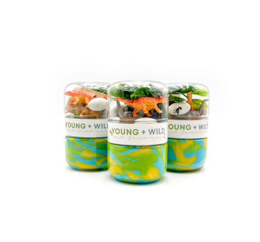 Dinosaur Grab & Go Dough Jar