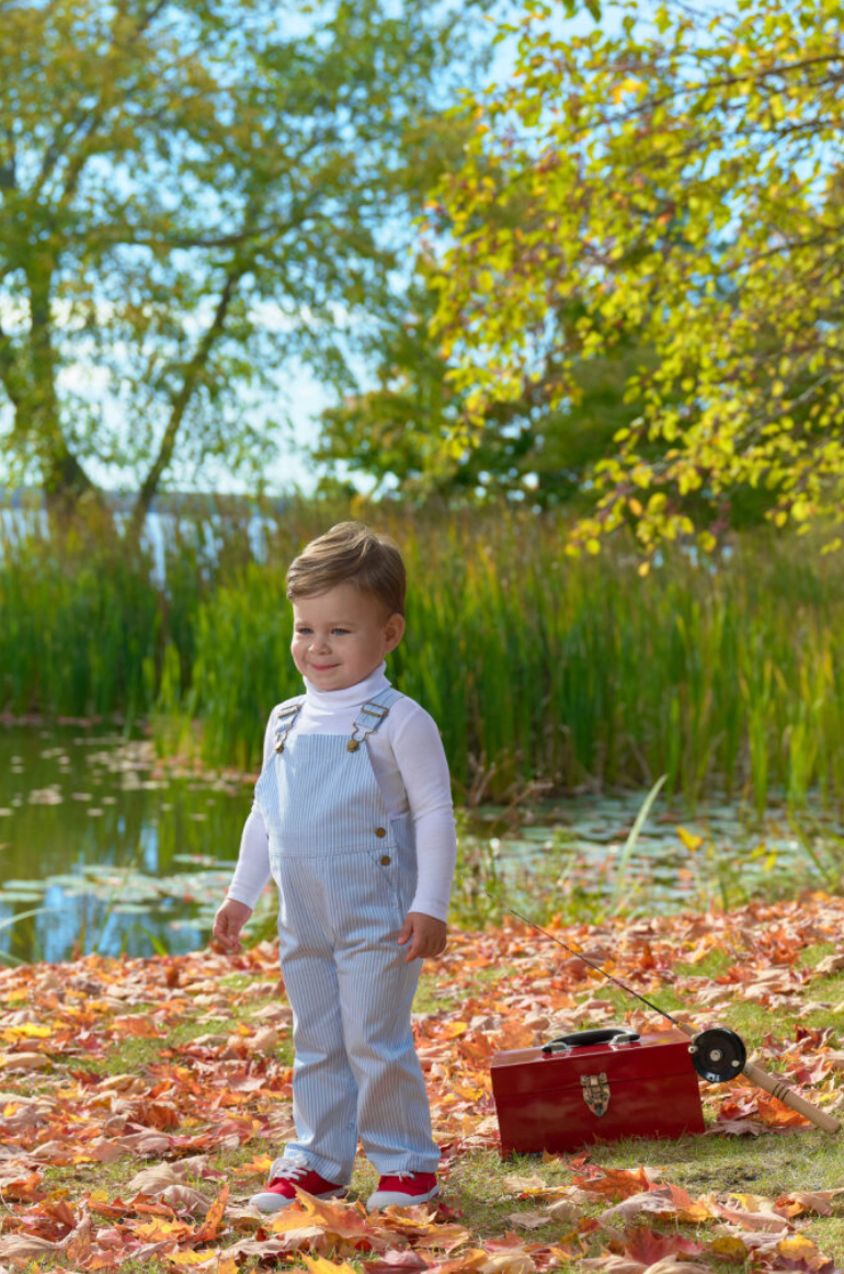 Chapman Choo Choo Longalls Barrington Blue Tally Ticking Stripe