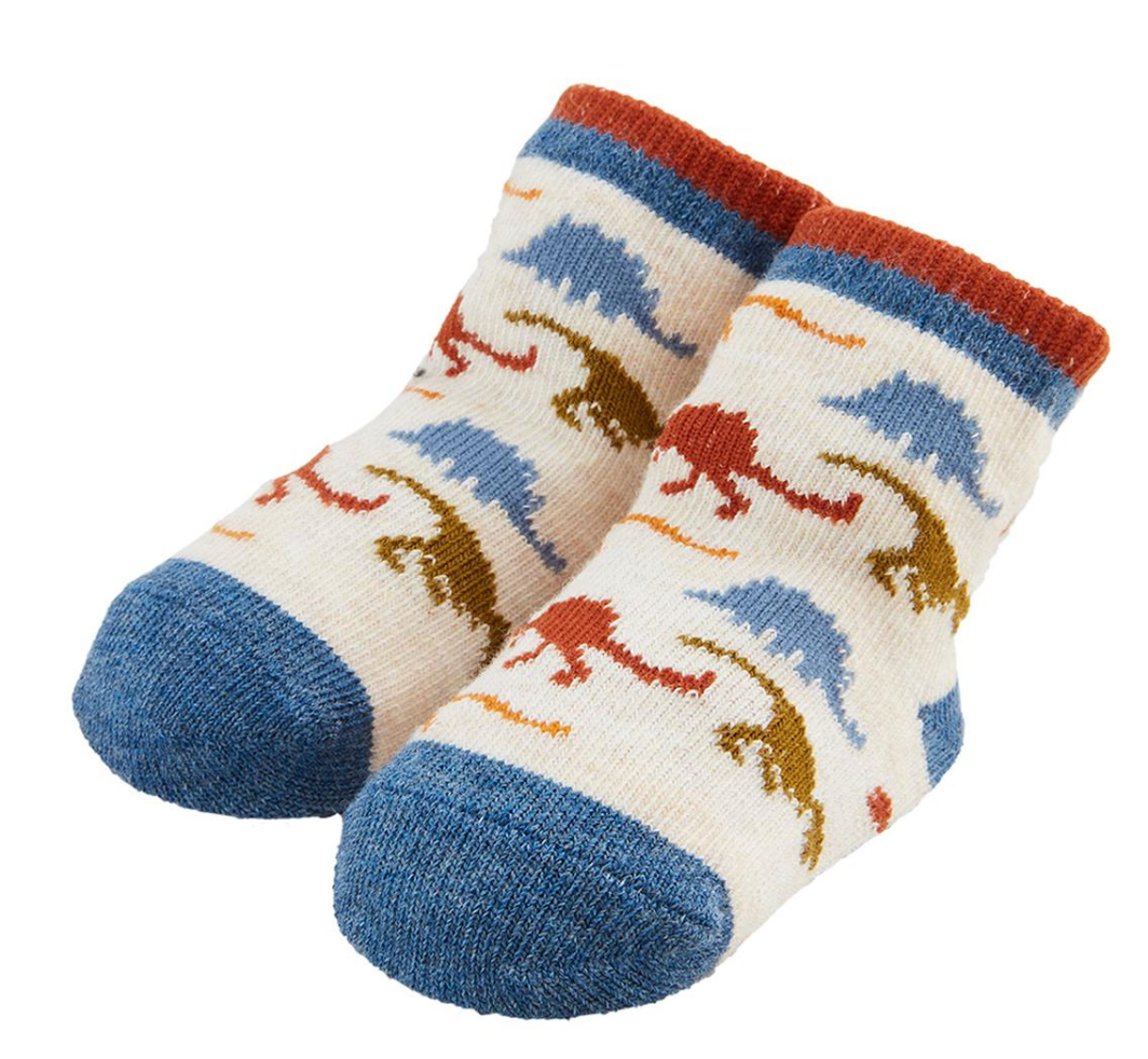 Dino Pattern Socks