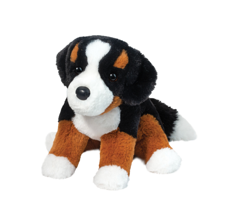 Bowie Bernese Mountain Dog