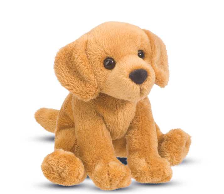 Gracie Golden Retriever