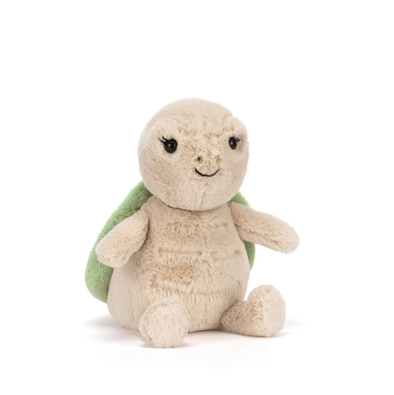 Thimble Turtle
