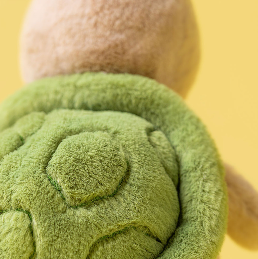 Thimble Turtle