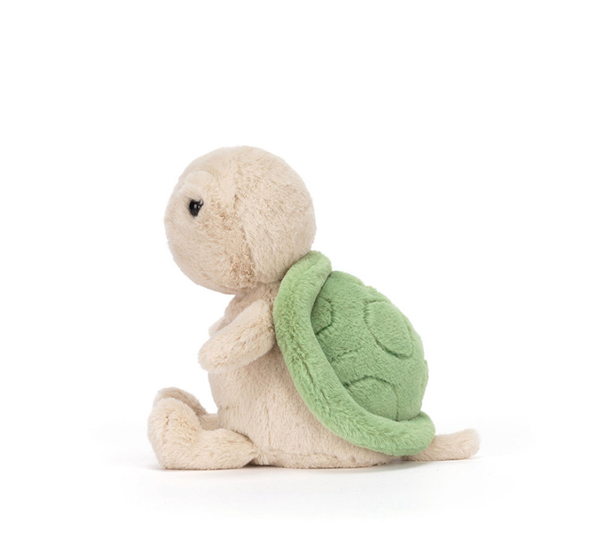 Thimble Turtle