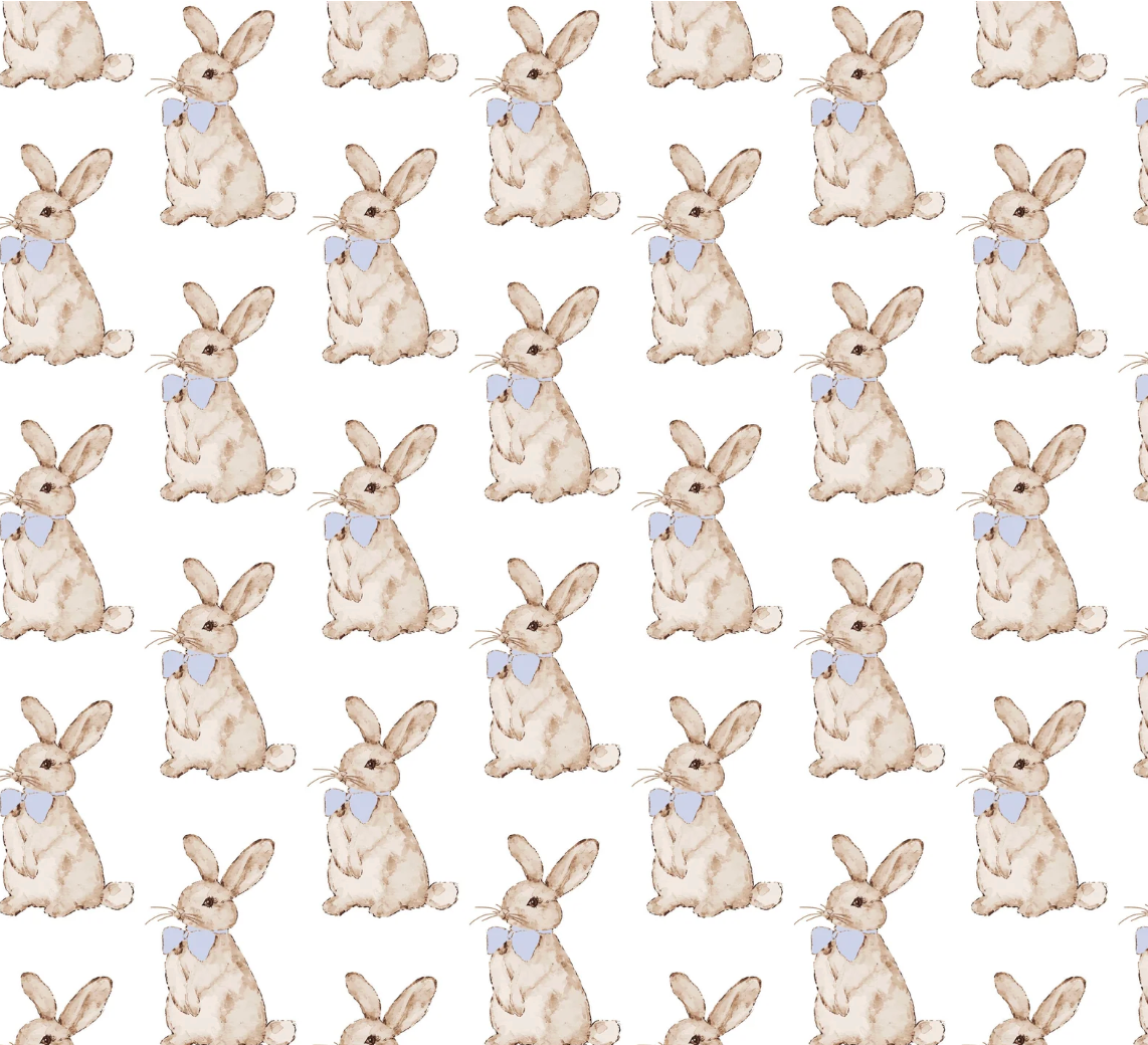 Parker Boys Easter Bunnies Zipper Pajama