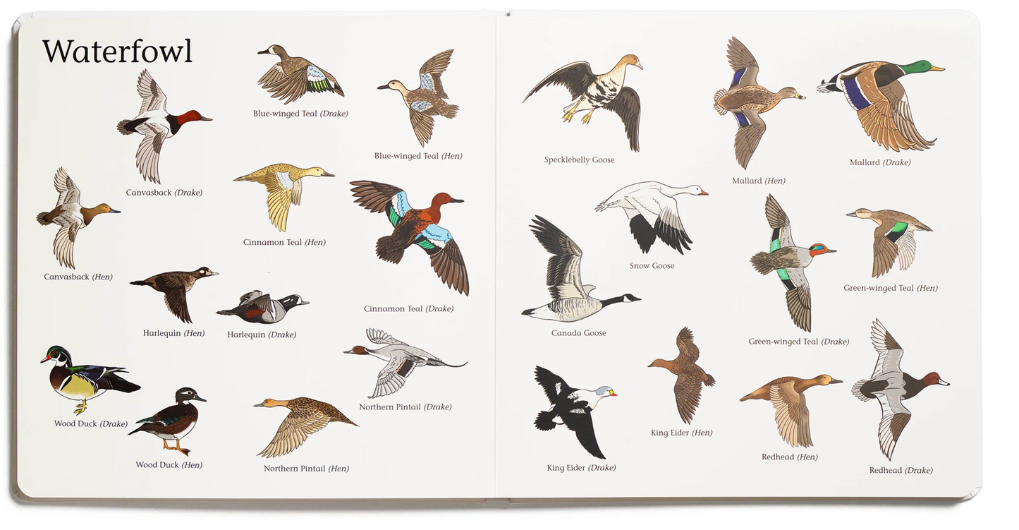 The Big Book of Hunting