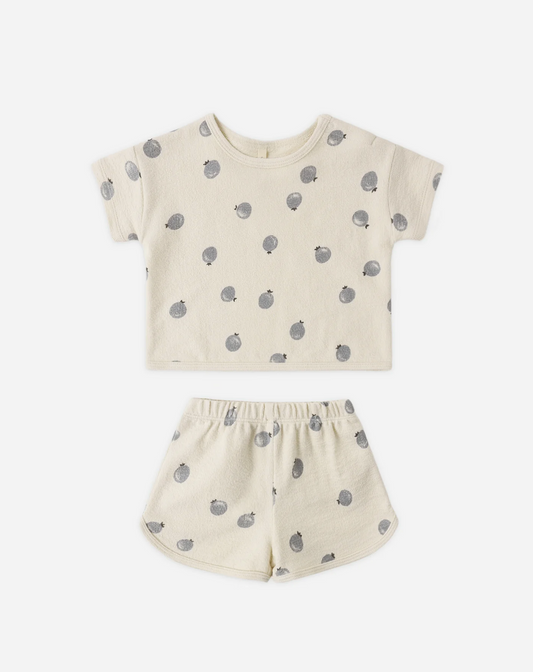 Spongy Play Set- Blueberry