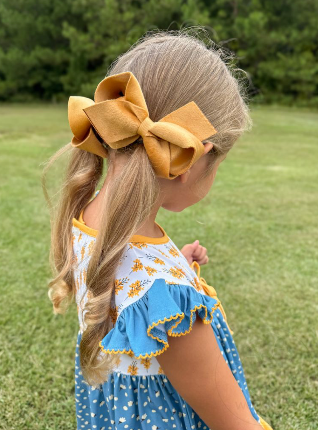 Medium Lux Velvet Bow