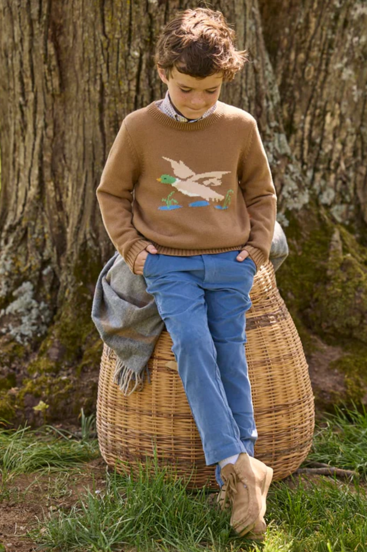 Intarsia Sweater- Flying Mallard