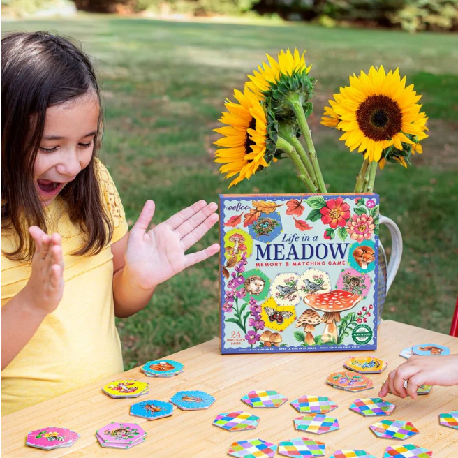 Life in a Meadow Matching Game