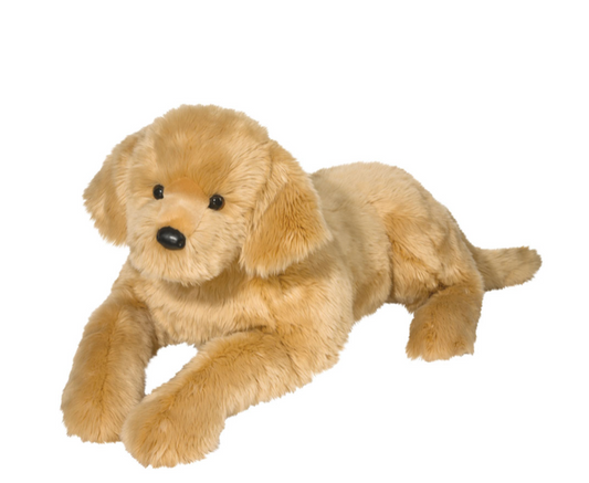 Sherman Golden Retriever