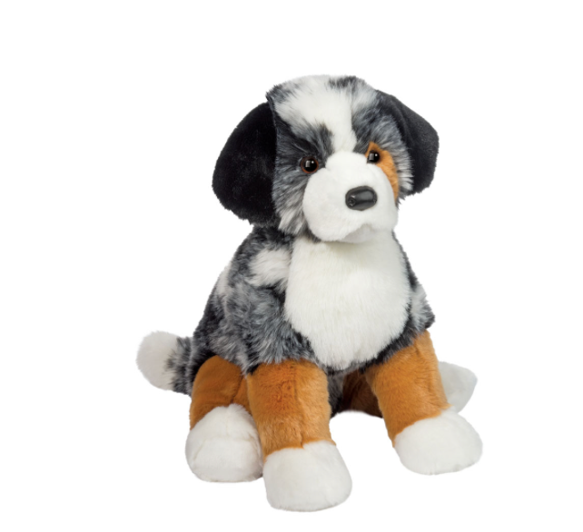 Aspen Australian Shepard