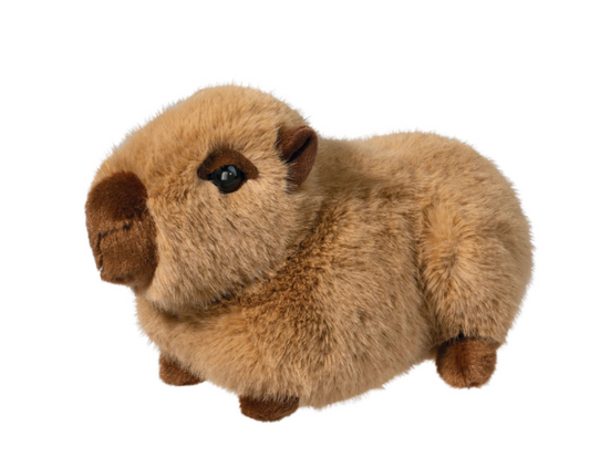 Chattie Capybara Soft