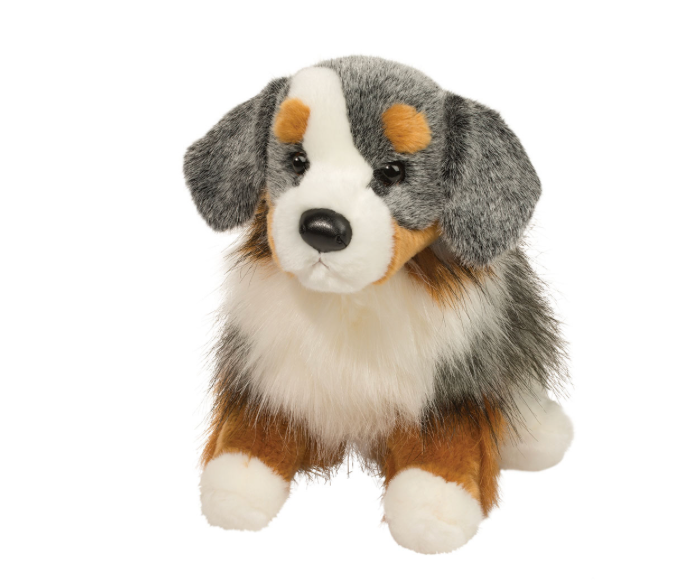 Sinclair Australian Shepard