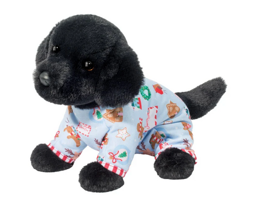 Black Lab with PJ's